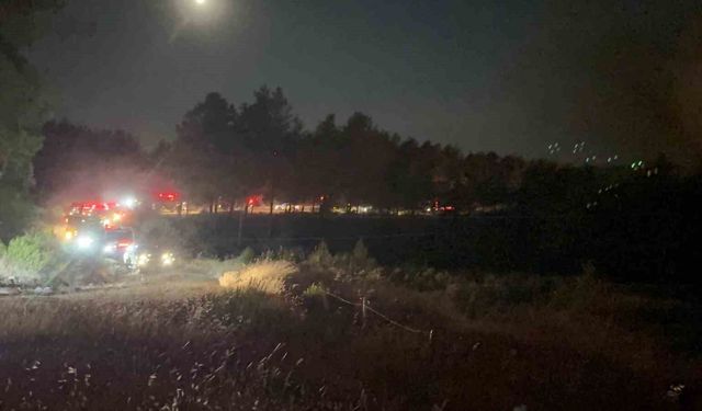 Fethiye'de Yeşilüzümlü Mahallesinde orman yangını başladı