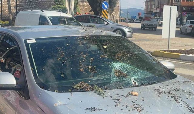 Fırtınada kökünden sökülen ağaç otomobilin üzerine devrildi