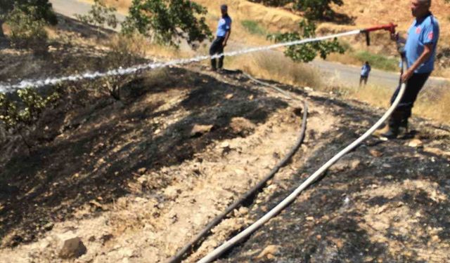 Fıstık tarlasındaki yangına müdahale ederken hayatını kaybetti