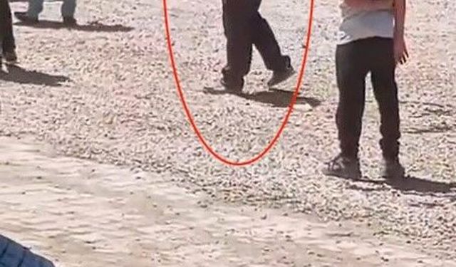 Gaziantep'te düğünde havaya ateş açan mahalle muhtarı tepki topladı