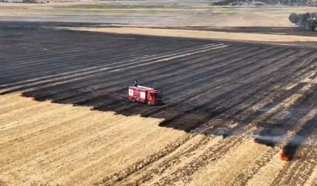 Gaziantep'te korkutan tarla yangını