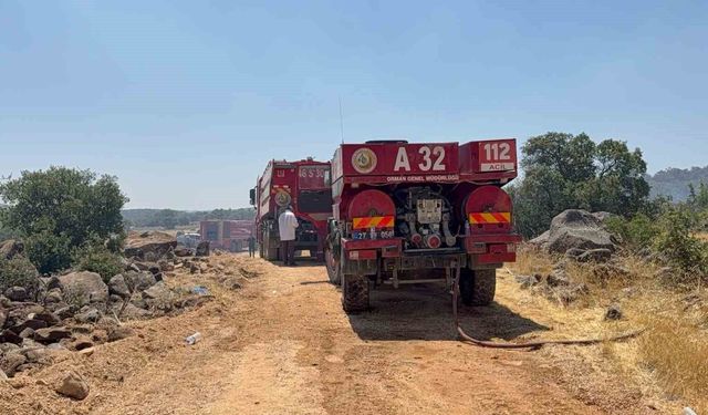 Gaziantep'teki orman yangını kontrol altına alındı