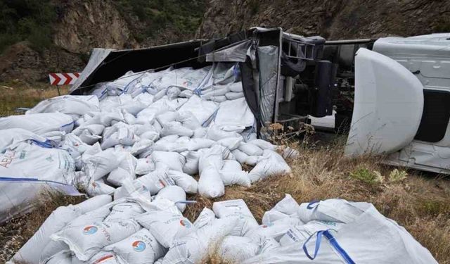 Gümüşhane'de balık yemi yüklü tır devrildi: Sürücü yaralandı