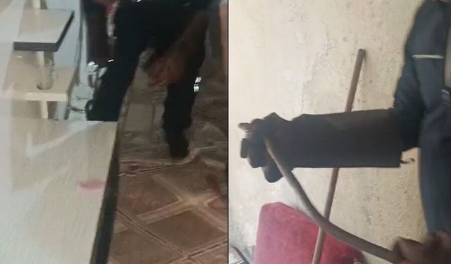 Hakkari'de eve giren yılan paniğe neden oldu