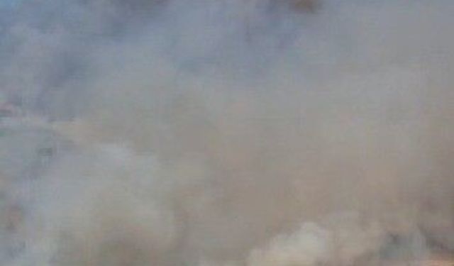 Hierapolis Antik Kent yakınında örtü yangını