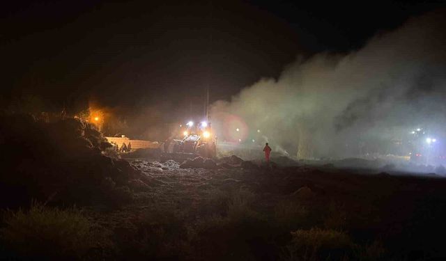 Iğdır'da 2 bin balya alevlere teslim oldu