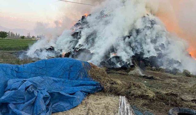Iğdır'da çıkan yangında yaklaşık 6 bin balya ot kül oldu