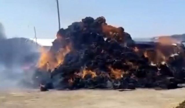 Iğdır'da ot balyaları alevlere teslim oldu