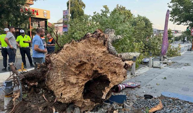 İstanbul'da kısa süreli etkili olan fırtına hasara yol açtı