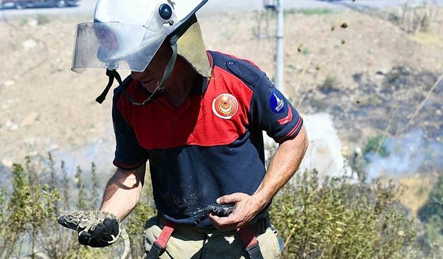 İzmir İtfaiyesi bukalemunu hayata döndürdü
