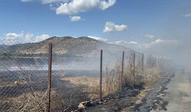 İzmir'de korkutan yangın: Alevler evlere ve ağıllara kadar ulaştı