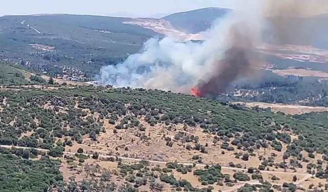 İzmir'de orman yangınına havadan ve karadan müdahale