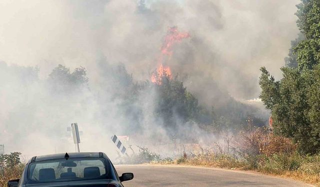 Bursa'da çöplükte başlayan alevler ormana sıçradı