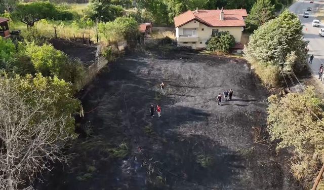 Jandarma, alevlerin arasındaki kaplumbağa ve yavrularını kurtardı