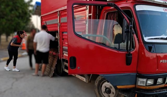 Kaçak hayvan sevkine 175 bin lira ceza