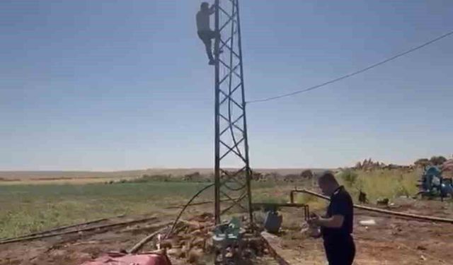 Kaçak trafonun sökülmesini engellemek için elektrik direğine çıktı