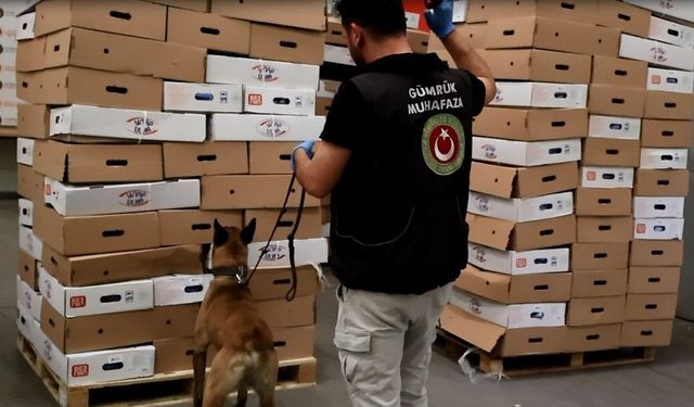 Kapıkule'de tavuk kolilerinden uyuşturucu çıktı: 526 kilo esrar ele geçirildi