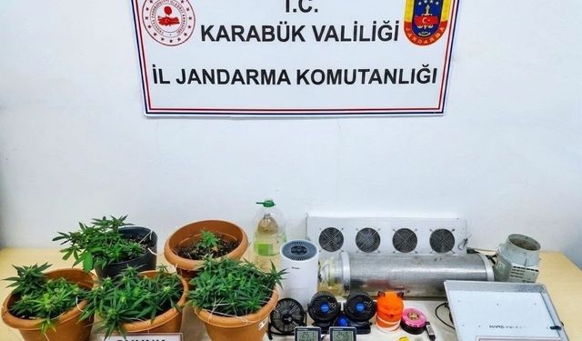 Karabük'te uyuşturucu operasyonu: Skunk serası ortaya çıkarıldı