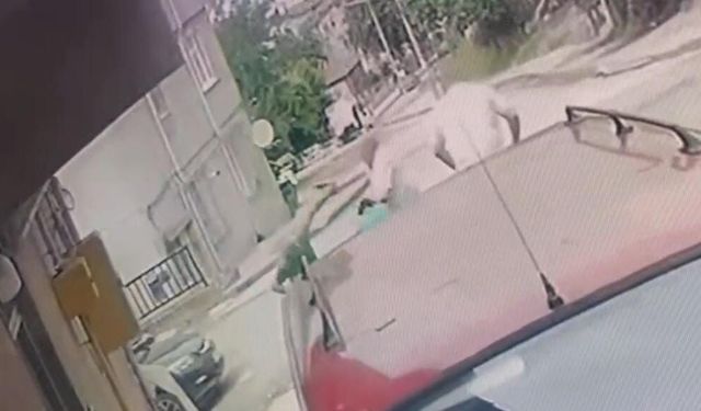 Kardeş katliamının zanlısı teslim oldu