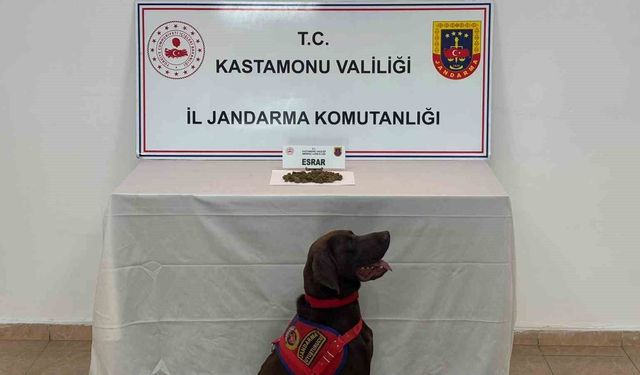 Kastamonu'da uyuşturucu operasyonlarında 5 şüpheli gözaltına alındı