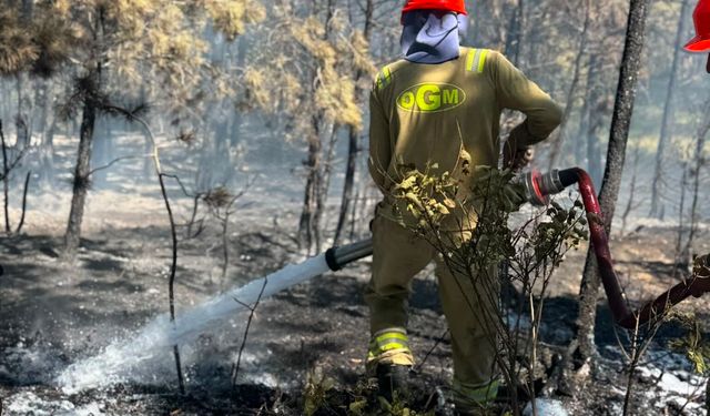 Kastamonu'daki orman yangını söndürüldü