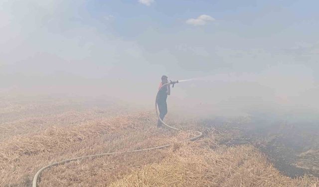 Keşan'da çıkan anız yangınında 100 dekar alan zarar gördü