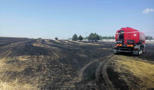 Keşan'da çıkan yangında 12 dönüm buğday ekili alan zarar gördü