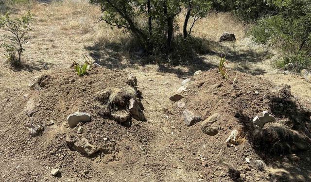 Kiraz yedikten sonra zehirlenerek öldükleri iddia edilen çift yan yana toprağa verildi