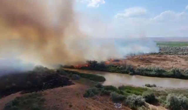Kızılırmak Nehri çevresinde korkutan örtü yangını