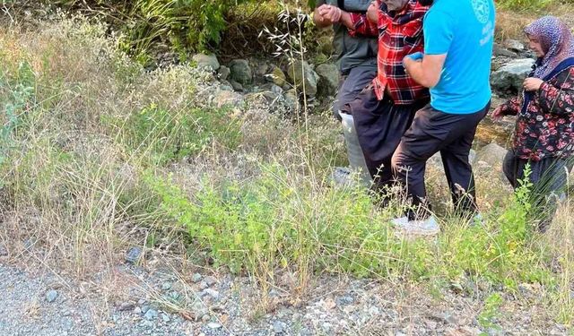 Kozan'da kayalıklardan düşen şahsı orman ekipleri kurtardı