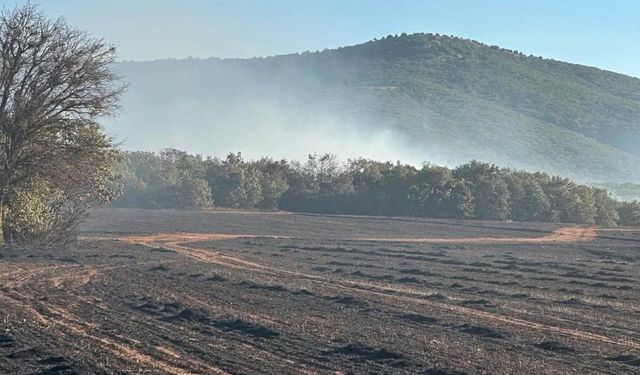 Kütahya Altıntaş'taki arazi yangını kontrol altına alındı