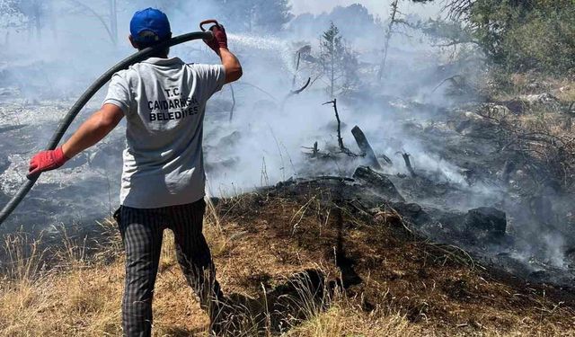 Kütahya'da orman yangını: Ekipler havadan ve karadan müdahale ediyor