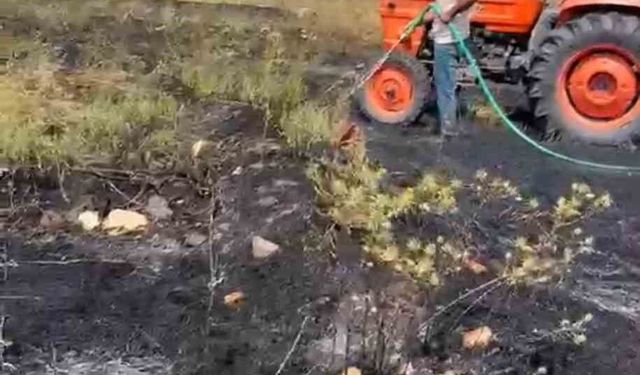 Kütahya'da orman yangını paniğe sebep oldu