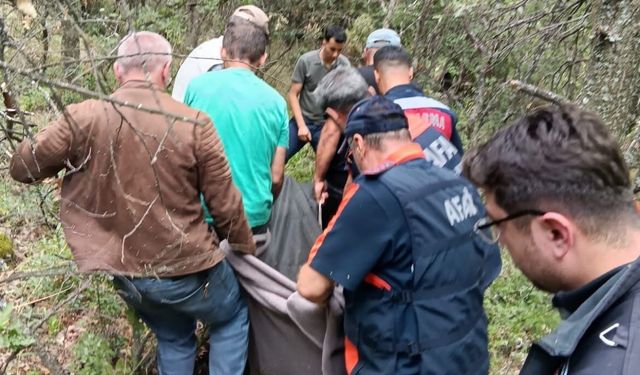 Kütahya'da 'sarı kantaron' toplamak isterken kayalıklardan düşen sağlık teknisyeni hayatını kaybetti