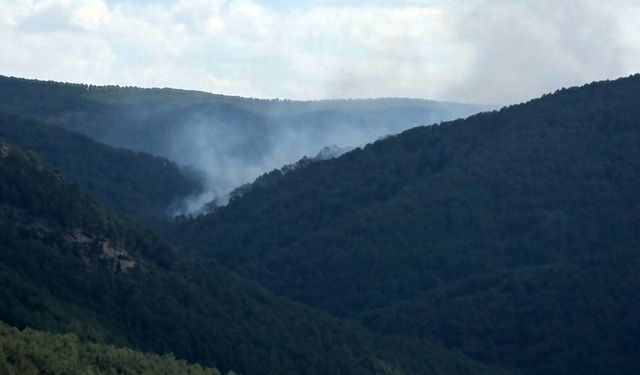 Kütahya'daki orman yangınına müdahale sürüyor: 7 helikopter, 4 uçak ve 22 arazöz görevde