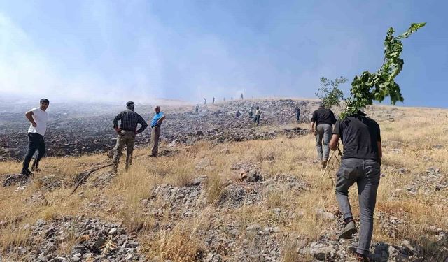 Malatya'da anız yangını