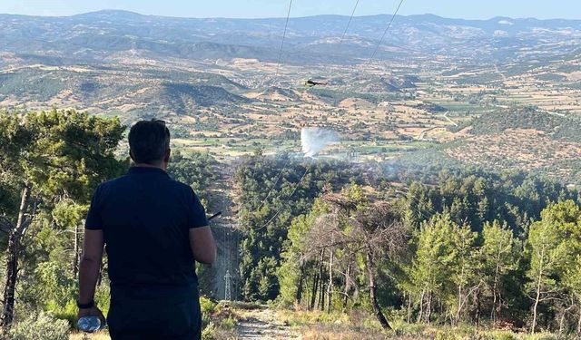Manisa'da yangında 1.5 hektarlık kızılçam ormanı zarar gördü