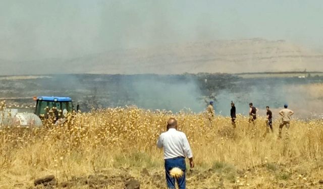 Mardin'de anız yangınına havadan ve karadan müdahale ediliyor