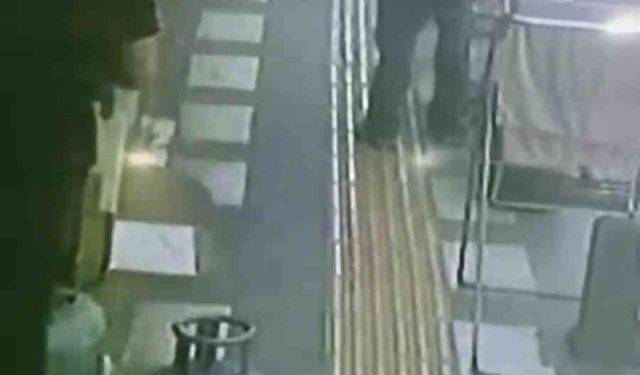 Mardin'de iş yerinin önündeki papağanın çalındığı anlar kamerada