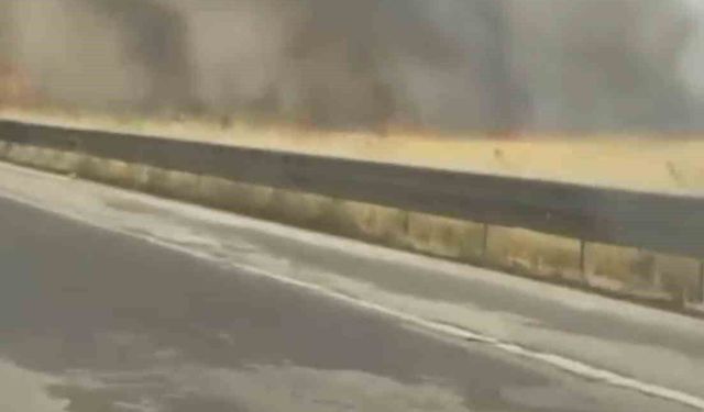 Mardin'de itfaiye aracının çarptığı itfaiye eri hayatını kaybetti