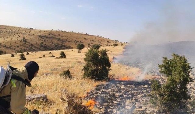 Mardin'de örtü ve anız yangını söndürüldü