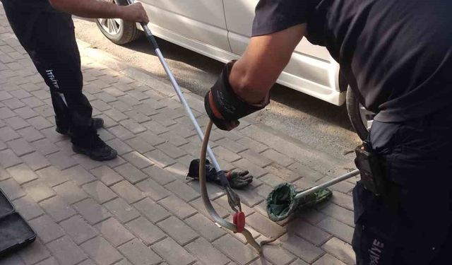 Minibüsün motoruna giren yılan itfaiye ekiplerini harekete geçirdi