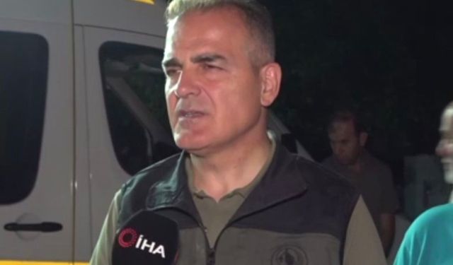 Muğla Valisi Akbıyık: 'Yangın kısmen kontrol altında'