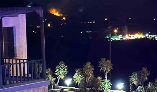 Muğla'da arazi yangını: Çok sayıda ekip sevk edildi
