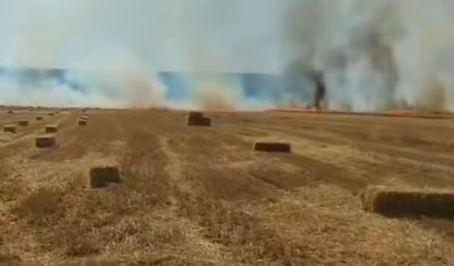 Nallıhan'da tarla yangını