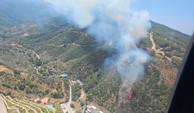 Narlıdere'deki orman yangınına havadan ve karadan müdahale