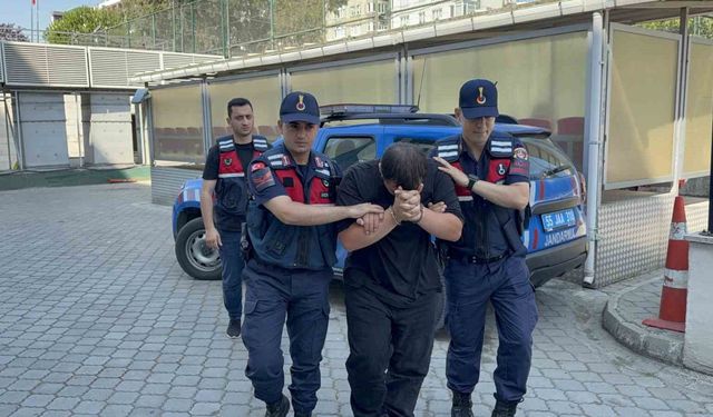 Odunluğa saklanan 4 bin 531 uyuşturucu hap ele geçirildi: 1 tutuklama