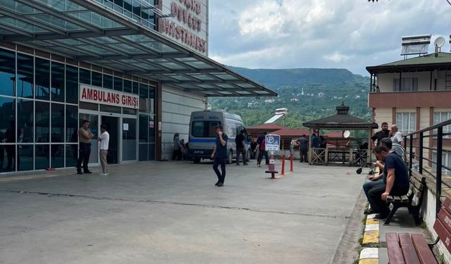 Ordu'da fındık bahçesinde kaza: 1 ölü