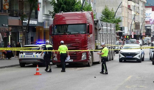 Ordu'da tırın çarptığı yaya ağır yaralandı