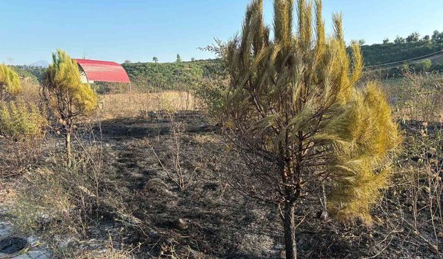 Osmaniye'de mesire alanından çıkan yangın söndürüldü